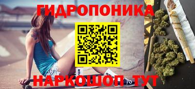 Альфа ПВП Кимры