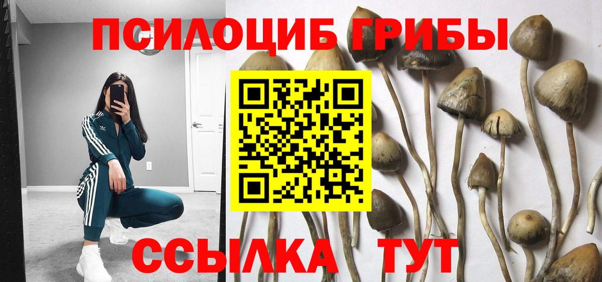 Галлюциногенные грибы ЛСД  Вход с VPN  Галлюциногенные грибы Cubensis  Костомукша 